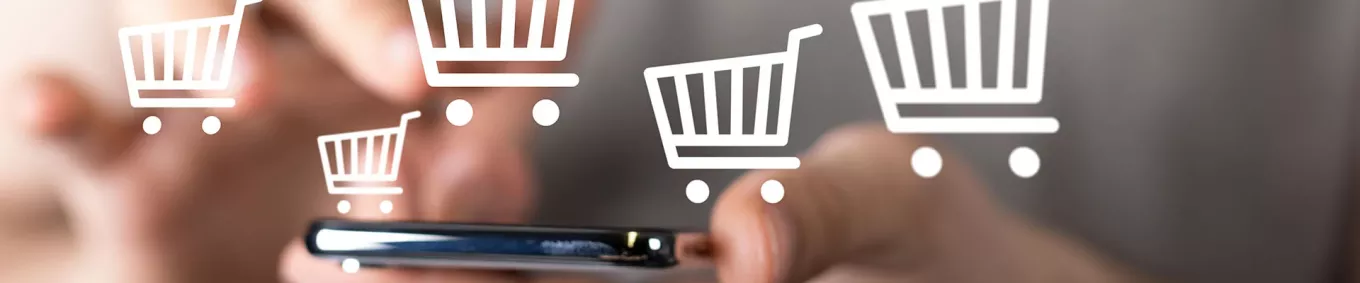 Compras-seguras-internet 