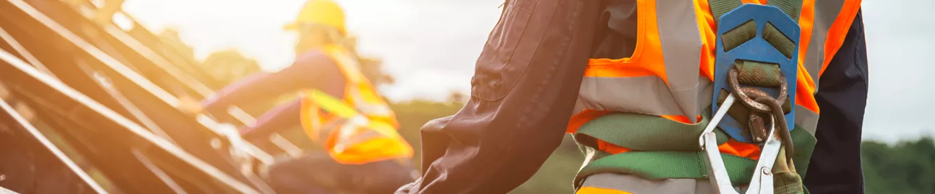 Elementos de protección de dotación 