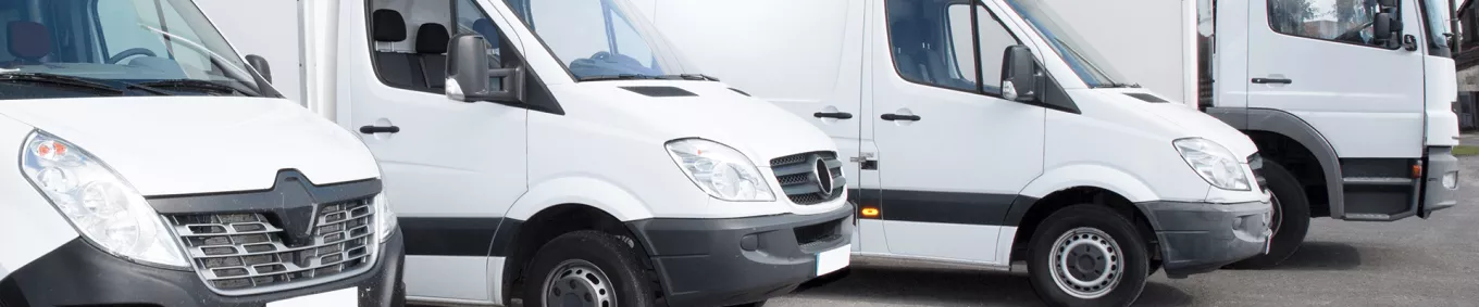 banner-empresa-exitosa-transporte 