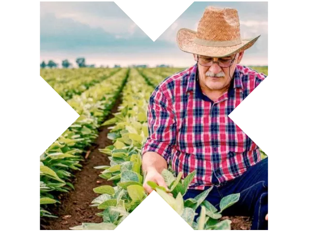 agro x