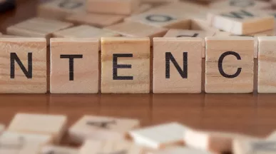 Ingreso base cotización 