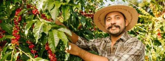 agrocafe-pluxeecolombia